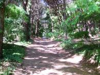 Sentiero N. 7 - Parco Nazionale del Vesuviao